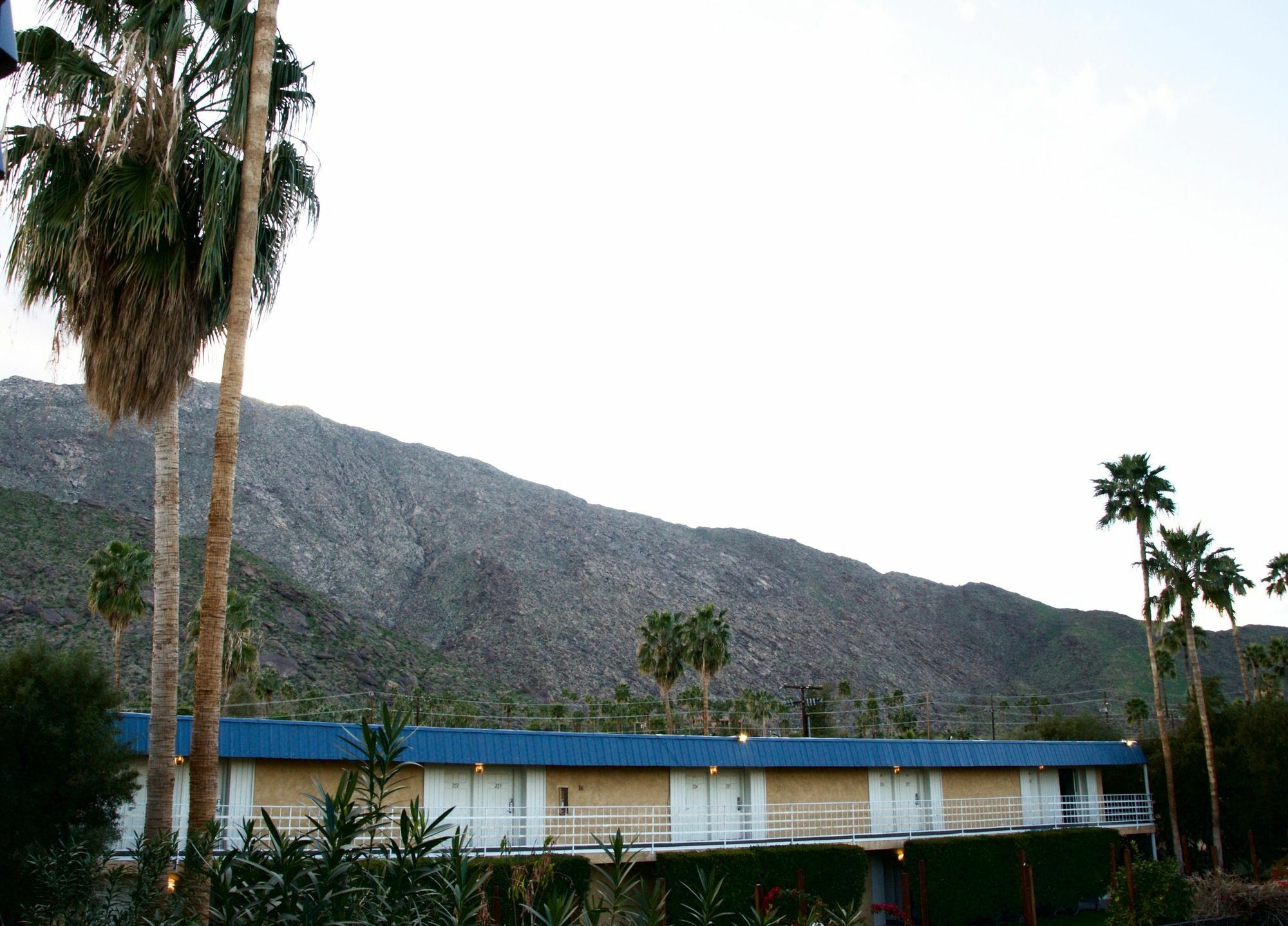 Delos Reyes Palm Springs Motel Ngoại thất bức ảnh